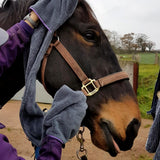 Equine Microfibre Glove Towel