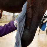 Equine Microfibre Glove Towel