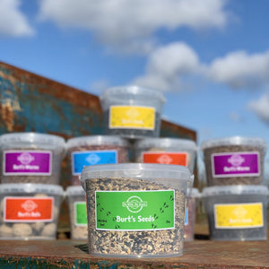 Bird Wild Seeds - Feeder and Seed Pack