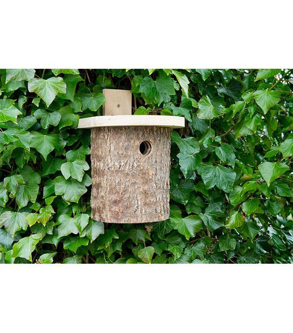 Natural Log Tit Box