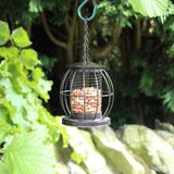 Mini Caged Bird Nut Feeder