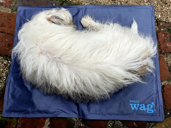 Pet Cooling Mat