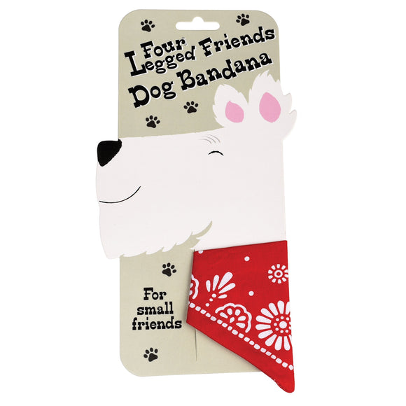 Small Red Paisley Dog Bandana