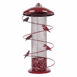 Bird Nuts - Feeder and Nuts Pack