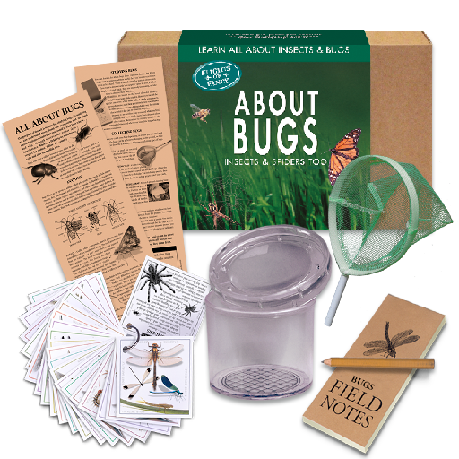 About Bugs Nature Kit