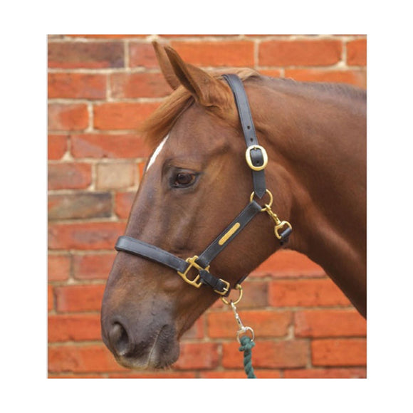 Hy Leather Head Collar
