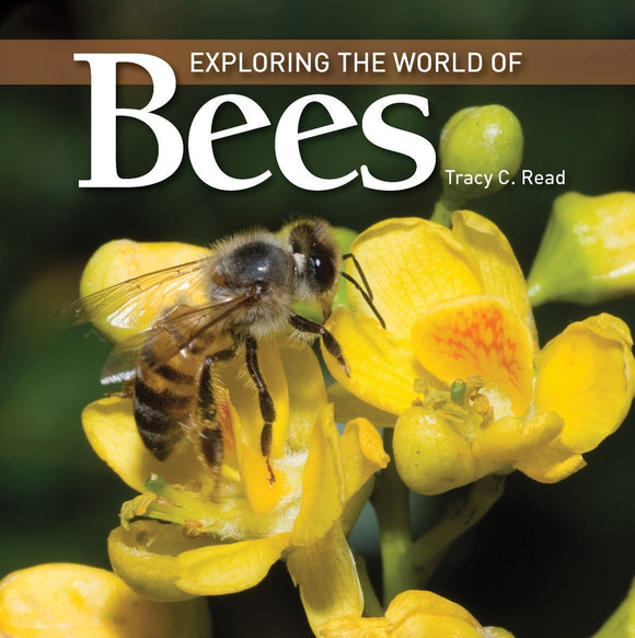 Exploring The World Of Bees