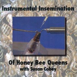 Instrumental Insemination DVD