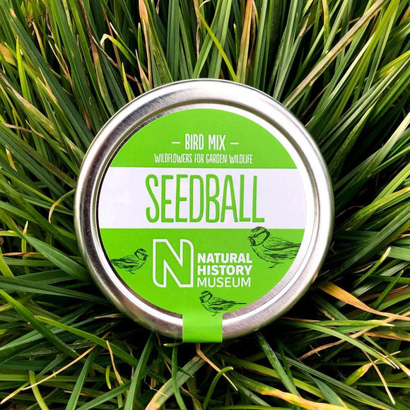 SEEDBALLS - Bird Mix