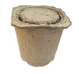 Swarm trap with lid x 10
