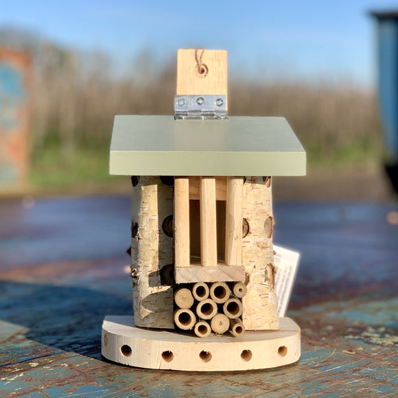 Friendly Bug Barn