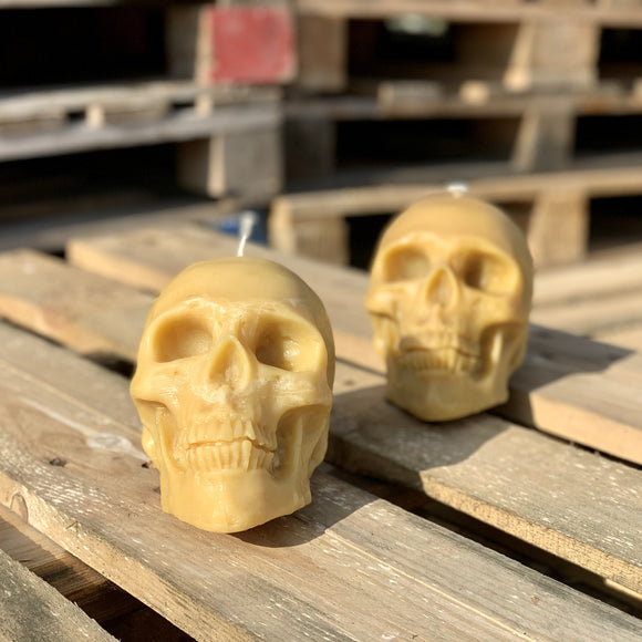 Skull Candle