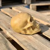 Skull Candle