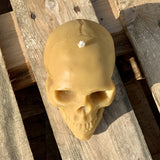 Skull Candle
