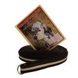 10ft Training Lead - Softex