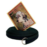 30ft Training Lead - Softex