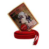 10ft Training Lead - Softex