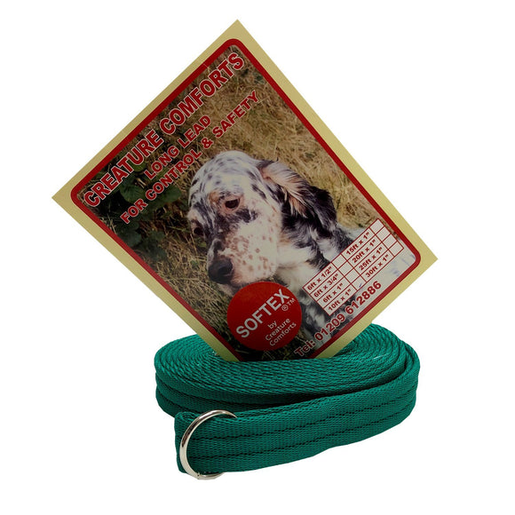 10ft Training Lead - Softex