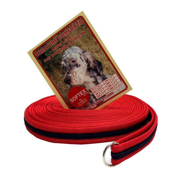 30ft Training Lead - Softex