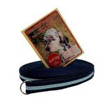 10ft Training Lead - Softex