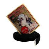 10ft Training Lead - Softex