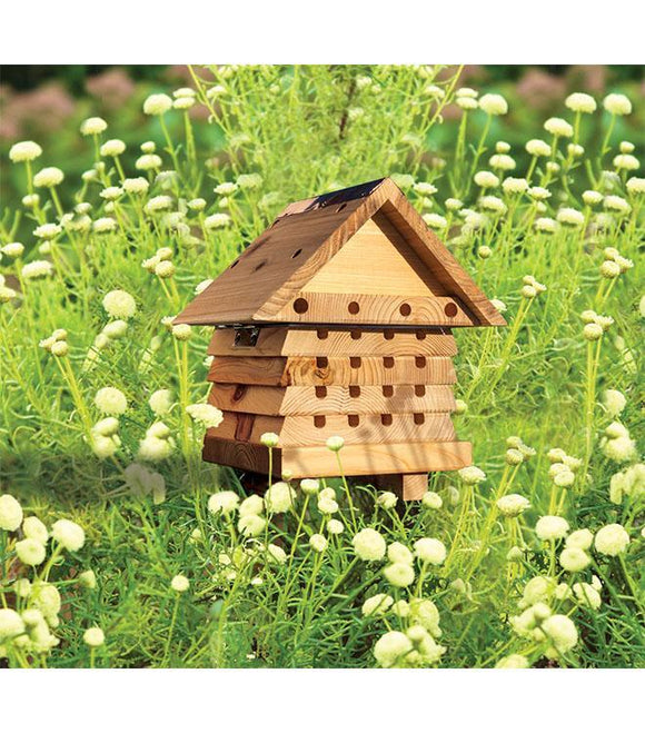 Interactive Solitary Bee Hive