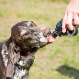 Pet Water Bottles - Powder Coated Silver Capped - 500ml - Lick 'n' Flow