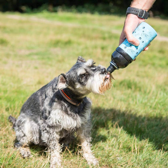 Pet Water Bottle - 500ml - Lick 'n' Flow