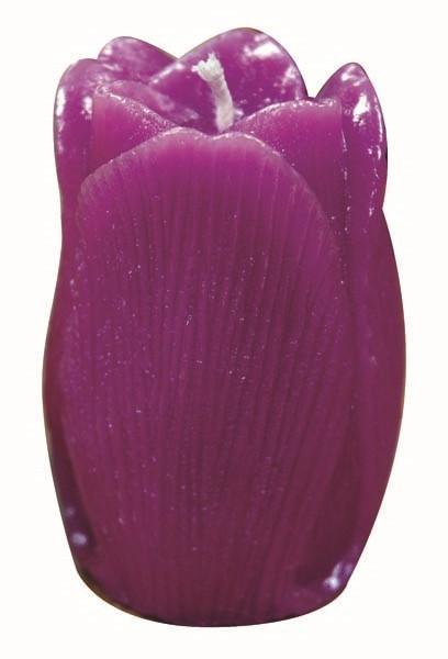 Tulip Candle Mould