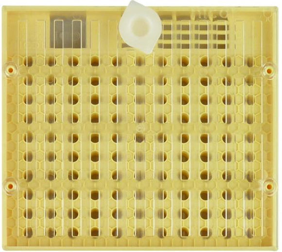 Queen rearing: Cupularva Queen Cell Grid