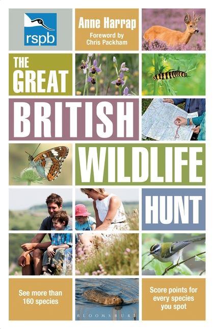 RSPB Great British Wildlife Hunt