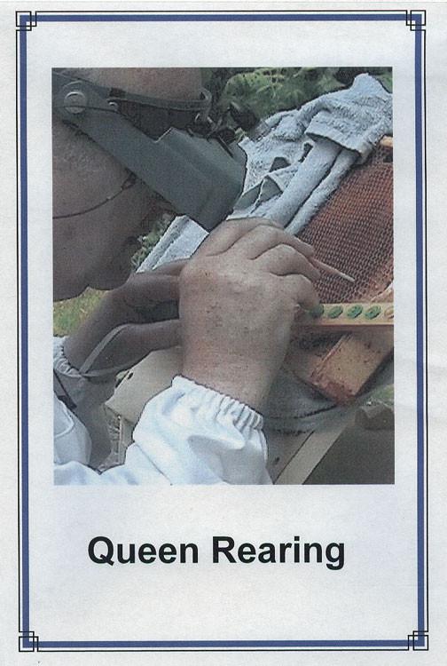 Queen Rearing DVD