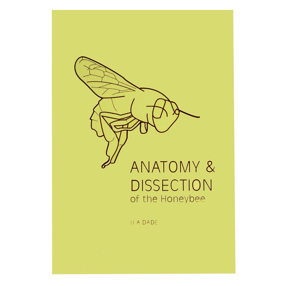 Anatomy & Dissection of the Honeybee