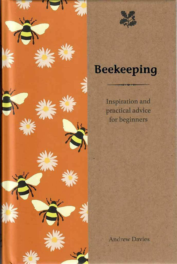 Inspiration and Practical Advice for Beginners