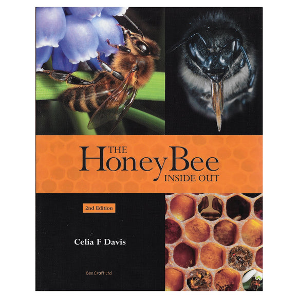 The Honey Bee Inside & Out