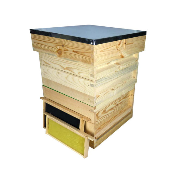 National Complete Hive Kit, Assembled, Pine, with Plastic Foundation