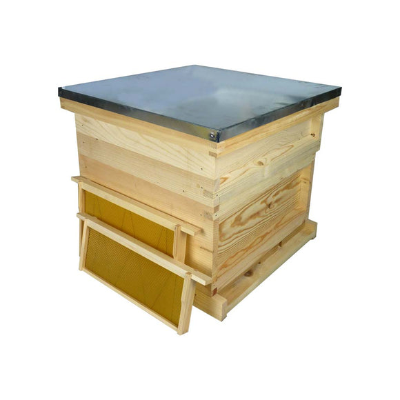 National Starter Hive Kit, Flat, Pine, With Premium Wax Foundation