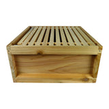 B.S. National Brood Box, Cedar, 2nd Grade, Assembled, with 11 Frames with foundation + Dummy Board - Bee Equipment