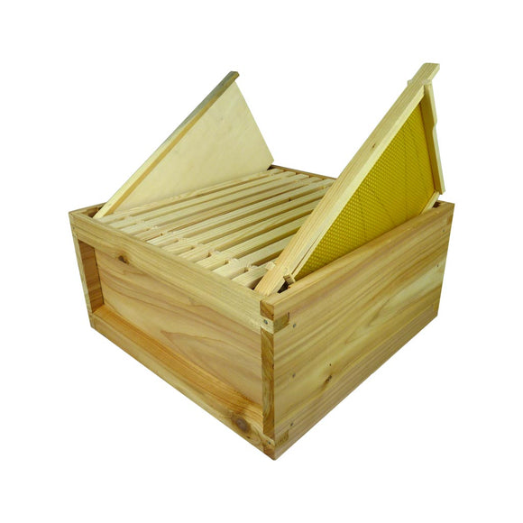 B.S. National Brood Box, Cedar, 2nd Grade, Assembled, with 11 Frames with foundation + Dummy Board - Bee Equipment