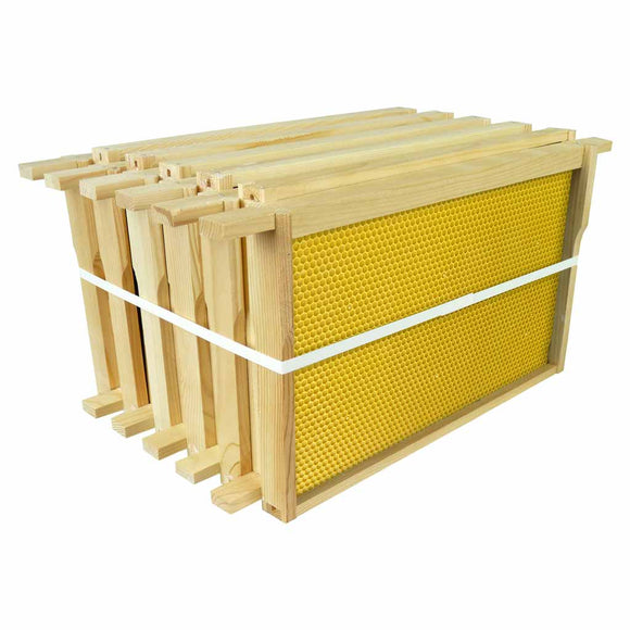 B.S. National Brood Frame, Assembled, With Yellow Plastic Foundation - Bee Equipment