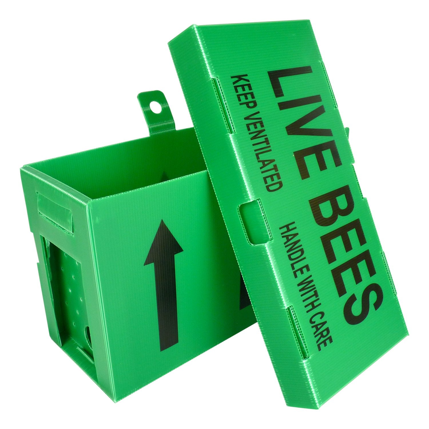 Nuc Box, 14x12 Corex – tradebe