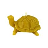 Tortoise Candle Mould