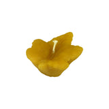 Palmate Leaf Mould