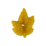 Palmate Leaf Mould