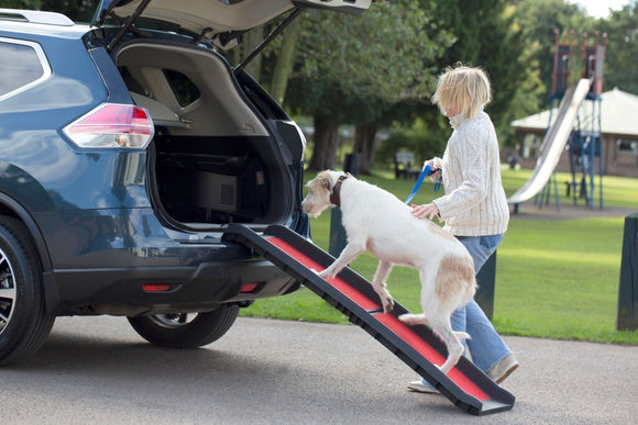Lightweight Folding Dog Ramp