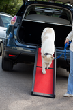 Lightweight Folding Dog Ramp